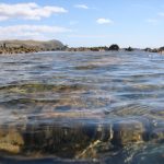 Sea and rocks, Plimmerton, New Zealand